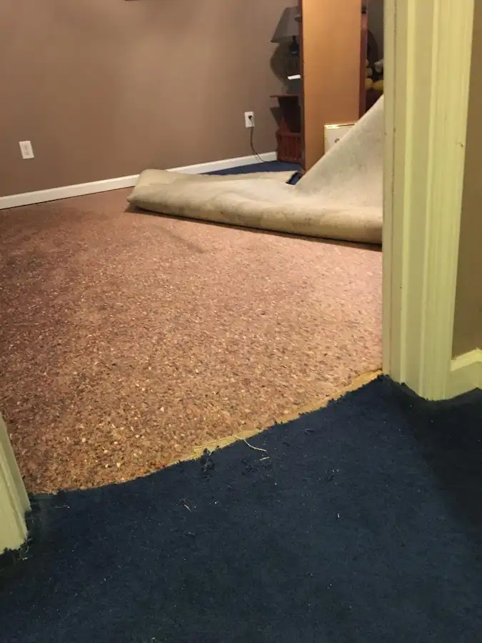 Carpet pad removal revealing water damage during Drying & Dehumidification in Somersworth